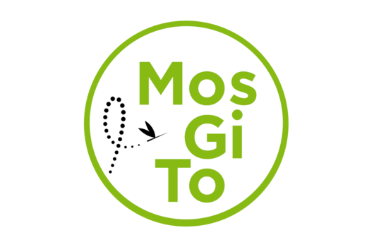 MosGiTo - Barrierefreiheit im Tourismus